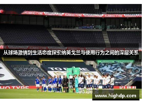 从球场激情到生活态度探索纳英戈兰与使用行为之间的深层关系